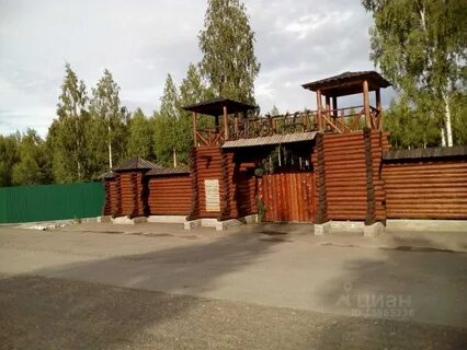 Днп березовая роща