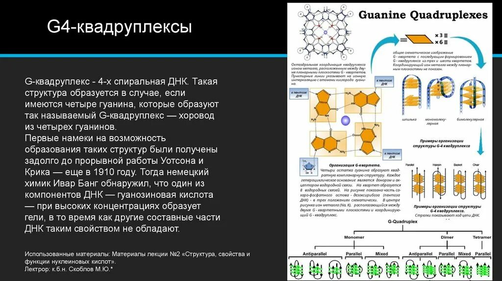 Днк какая форма. G4 структура квадруплекс. Квадруплекс ДНК. Гуаниновый квадруплекс. G Quadruplex.