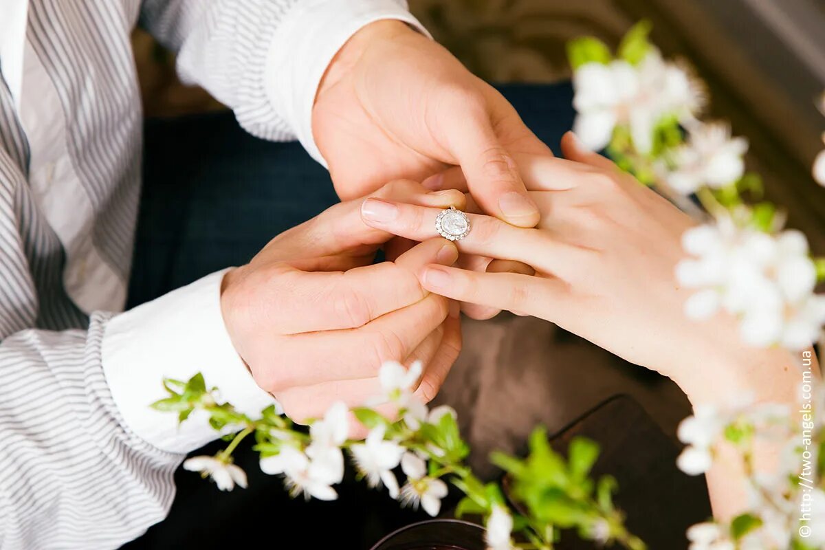 Удачное замужество. Свадебное предложение руки и сердца. Свадебные кольца. Обручальные кольца на руках. Свадьба руки с кольцами.