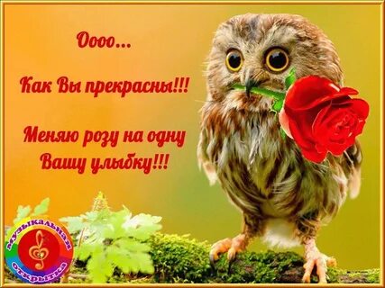 Картинки хорошо выглядишь