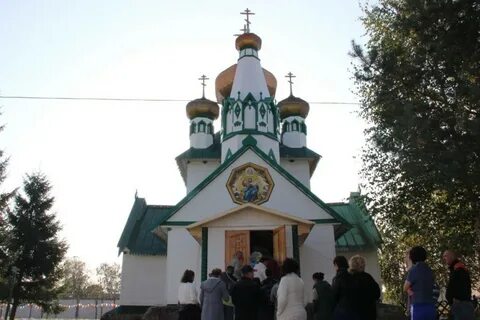 Колония в монино
