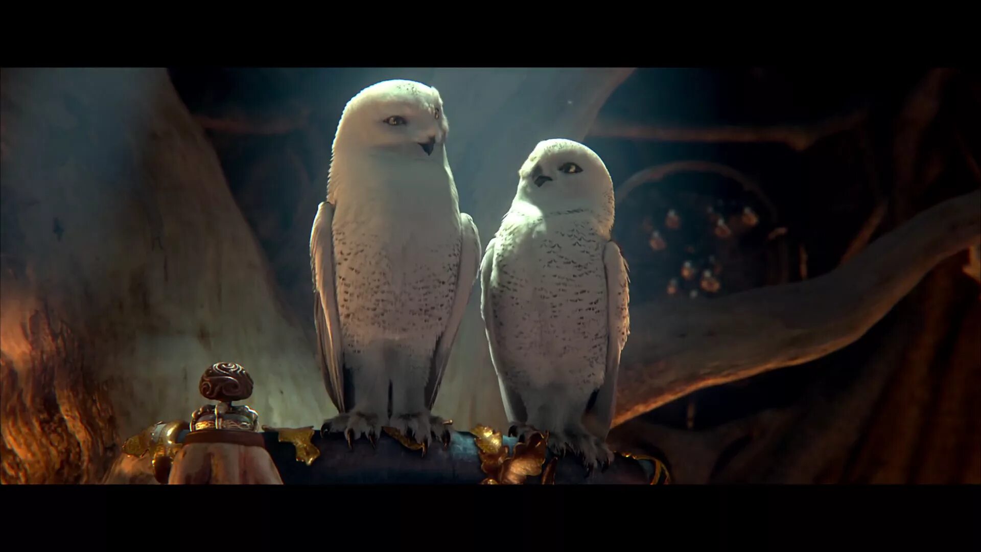 Легенды про сов. Легенды ночных стражей барран. легенды ночных стражей борон и барран.