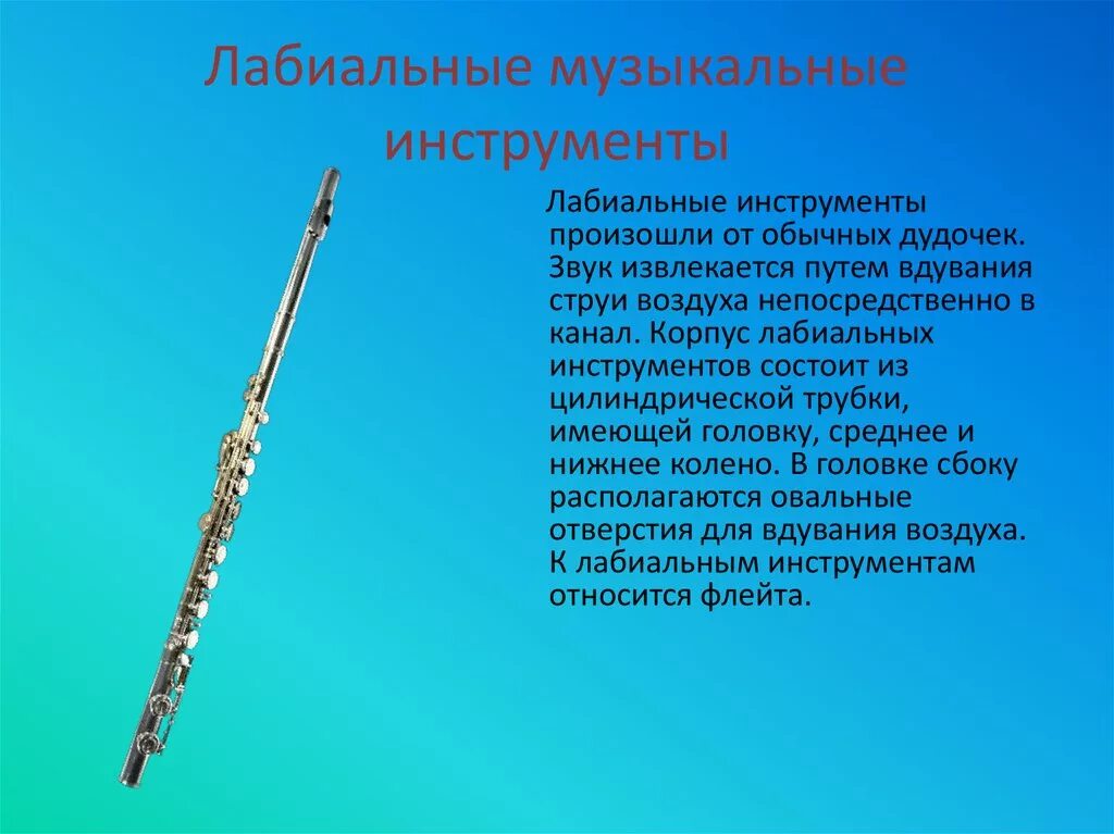 Класс флейта