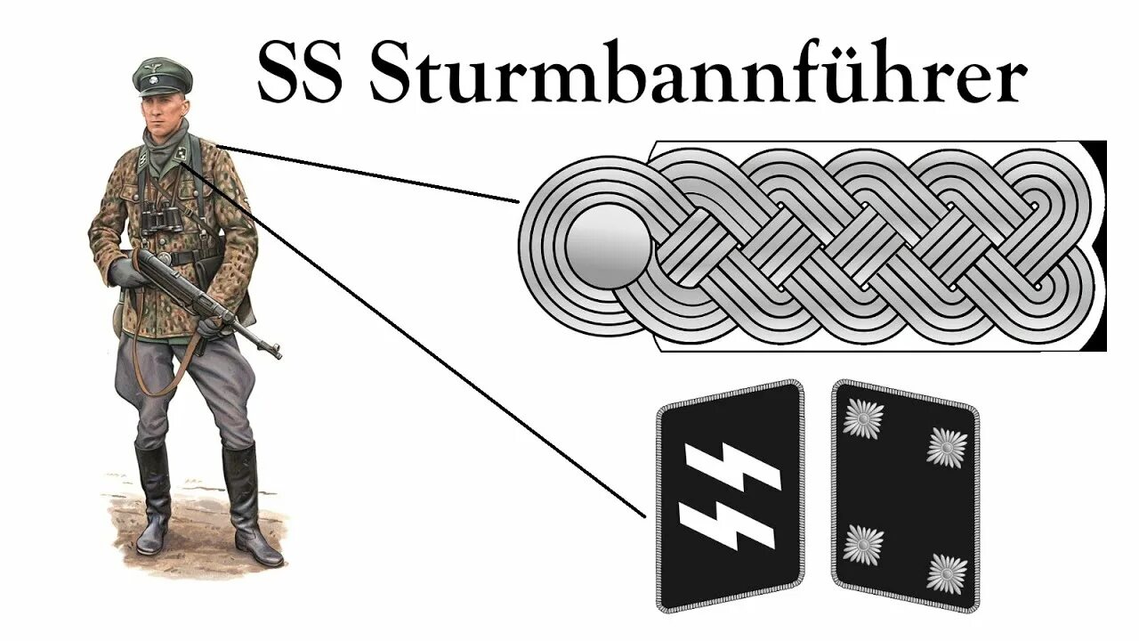 Уровне сс. SD Waffen SS форма. Воинские звания войск СС Германии. Штандартенфюрер воинские звания СС. Звания 3 рейха.