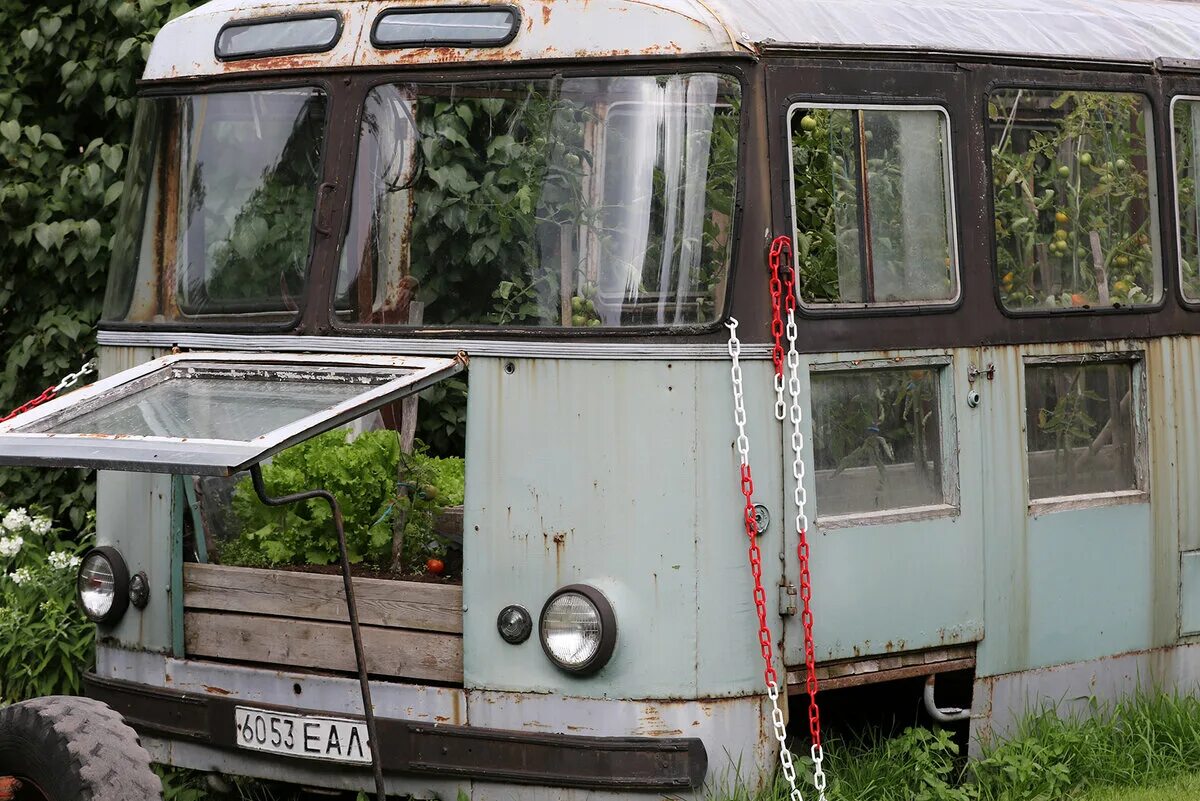 Списанные автобусы. Икарус 620 / 630. Теплица из старого автобуса. Автобус сарай. Сараи из троллейбусов и автобусов.