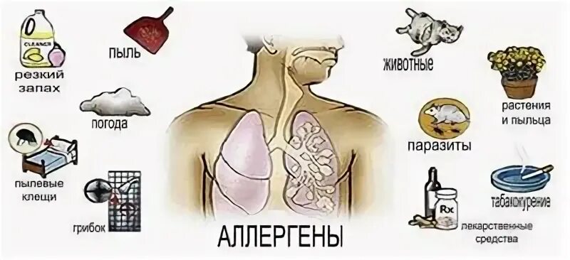 Как отличить аллергию от орви. Как отличить аллергию от орви