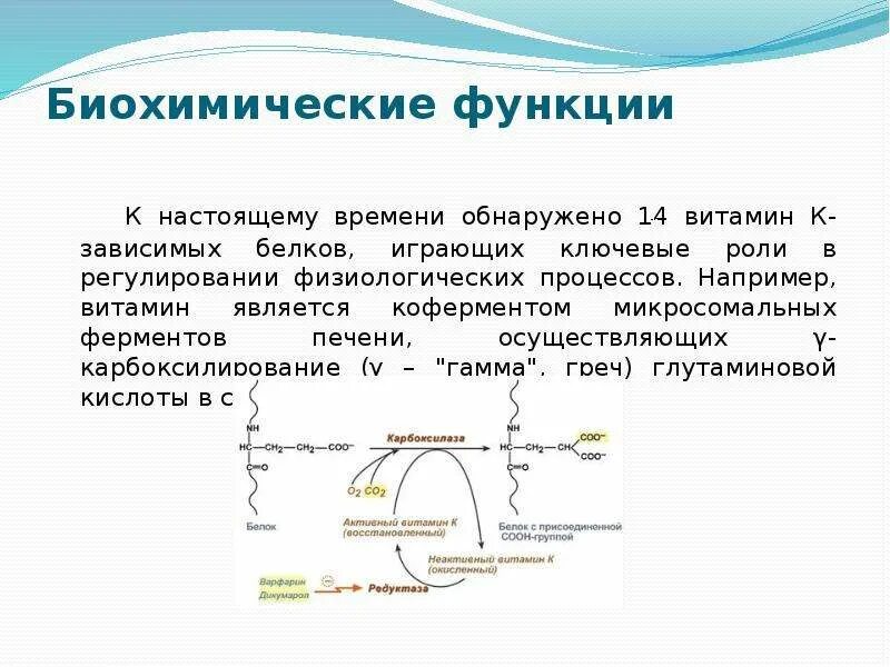 Биохимические функции витамина е. Функции витаминов биохимия. Витамины биохимия функции коферменты. Биохимические функции витамина а.