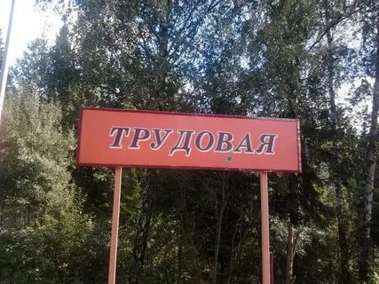 Трудовая московская область