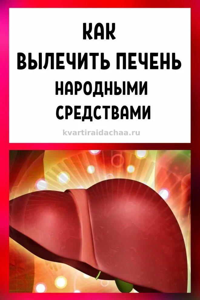 Восстановить печень народными. Народные средства для печени. Как лечить печень народными средствами. Лечим печень дома.