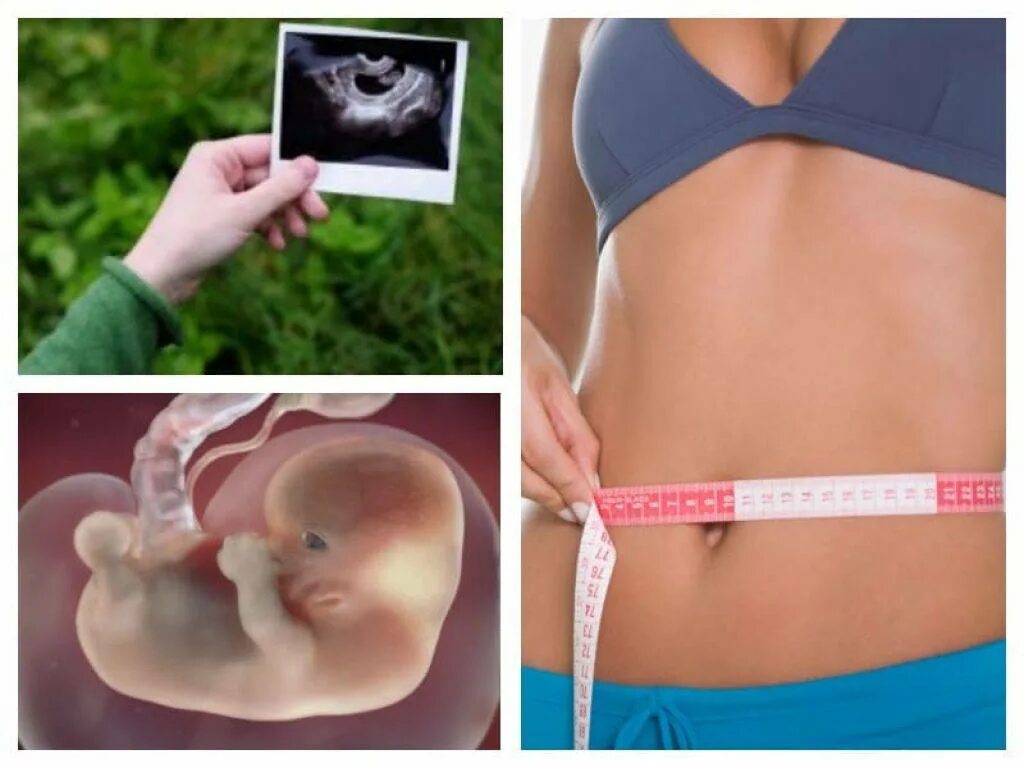 Ребёнок на 8 неделе беременности. 8 Акушерская неделя беременности. Ребенок на 8 акушерской неделе. 8 недель беременности симптомы