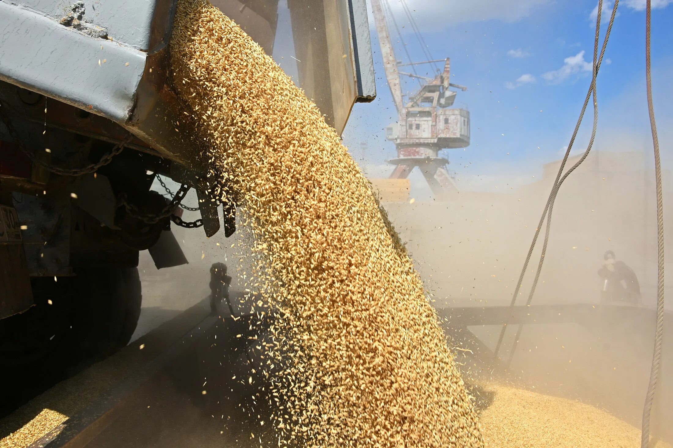 Экспорт зерна. Экспорт пшеницы. Вывозка зерна. Поставки зерна.
