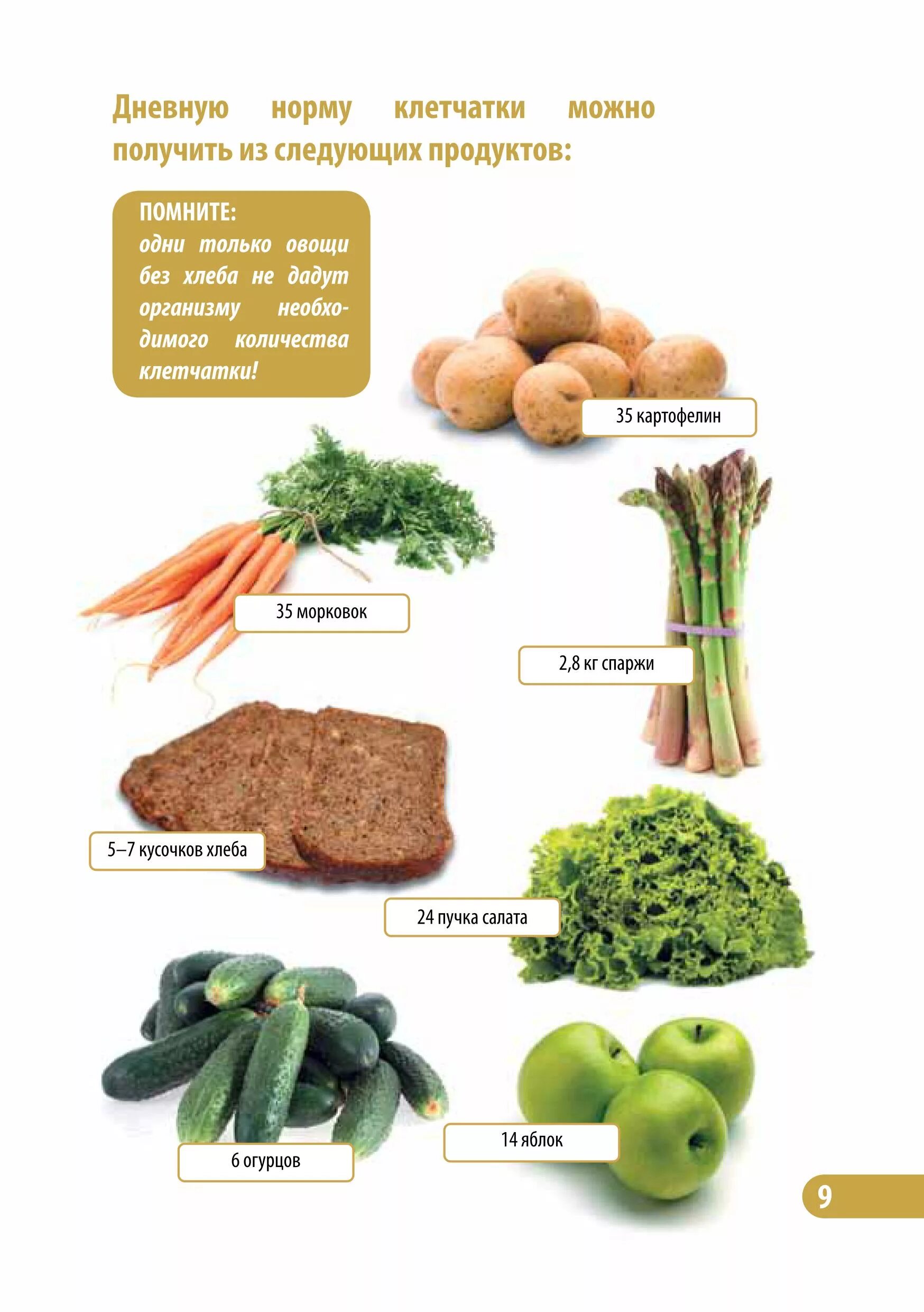 В овощах есть клетчатка. Пищевые волокна норма в сутки. Сколько необходимо клетчатки в день. Ежедневная норма клетчатки. Сколько нужно клетчатки.