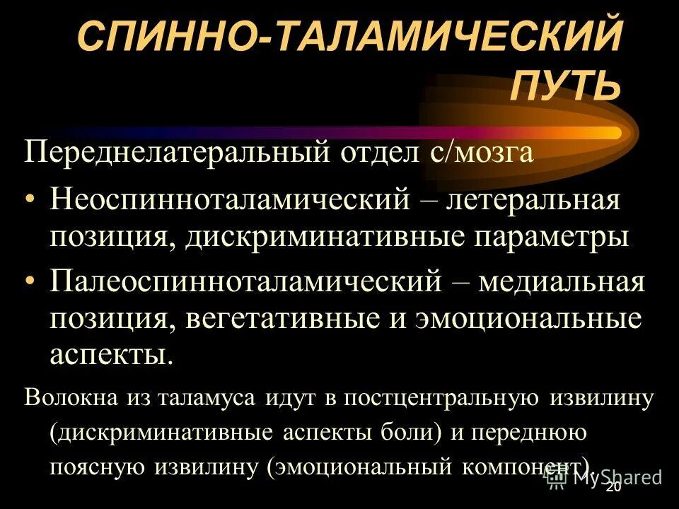 Спинно таламический