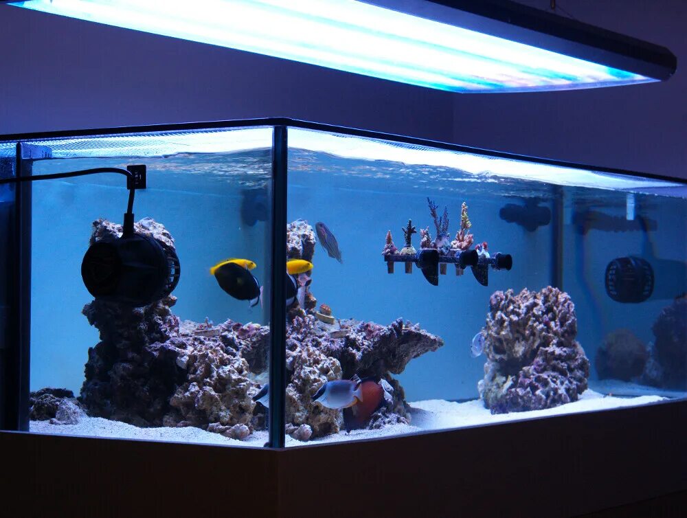 Reefcentral. Морской аквариум «Батискаф». Аквариум на тонну. Большой морской аквариум. Аквариум тонна литров.