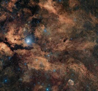 Cygni