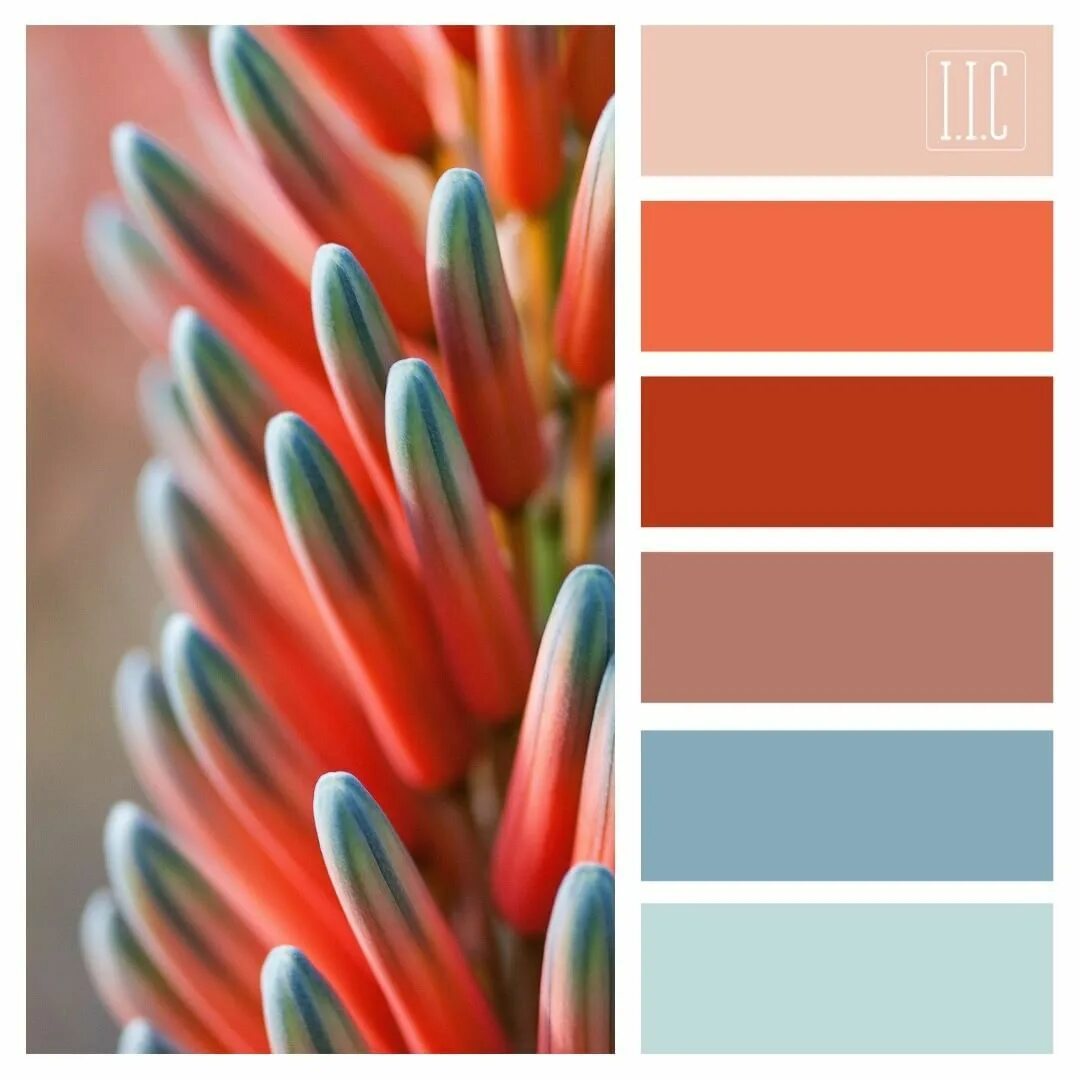 Яркая цветовая гамма. Плоскостная композиция. Цветоведение контраст и нюанс. Морис грин картины кубизм. Красивые цветовые сочетания.