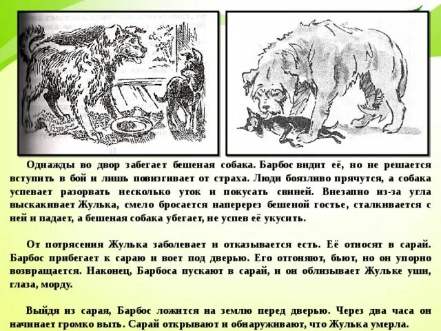 Краткий пересказ рассказа всем выйти из кадра. Краткий пересказ Барбос и Жулька Куприн. Жулька и бешеная собака. Барбос и Жулька Куприн краткое содержание. Собака Жулька.