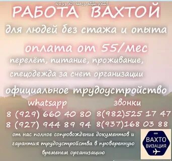 Беркат ингушетия свежие объявления работа