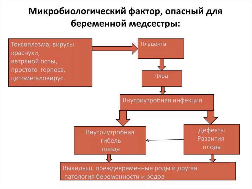 Фактор это в медицине. Микробиологические факторы опасные для беременной медсестры. Воздействие на медсестру вредных микробиологических факторов. Микробиологические факторы влияющие на медсестру. Воздействие на организм вредных микробиологических факторов.