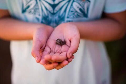 Hand snail