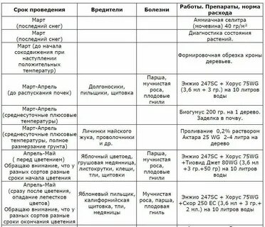 Обработка вишен от вредителей и болезней