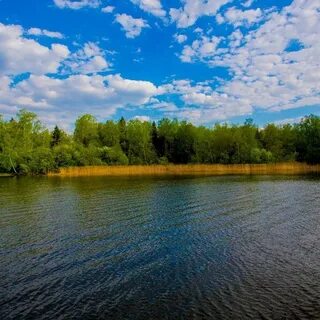 Пестовское водохранилище