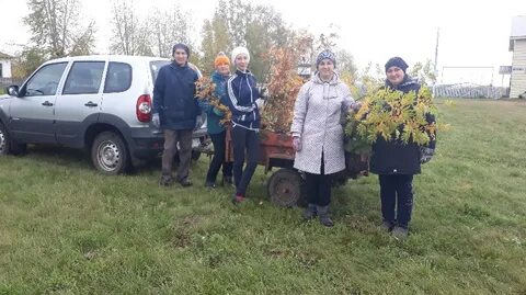 Погода в усадищенском сельском поселении на неделю