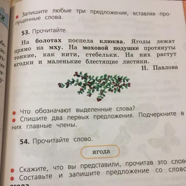 Прочитай слово ягода. На болотах поспела клюква. Подчеркнуть главные предложения на болотах поспела клюква.. На болотах поспела клюква синтаксический разбор предложения.