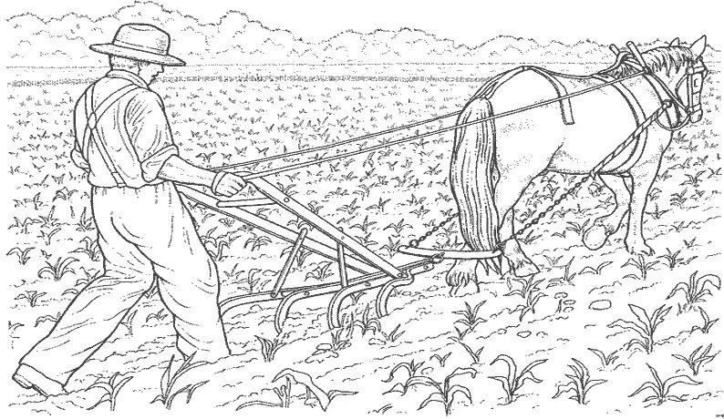 Научные основы систем земледелия. Технологии агропромышленного производства презентация. Задачи земледелия. Занятия древних славян раскраска. Задание земледелие.