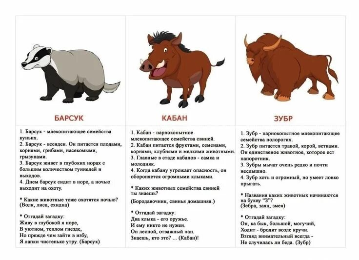 Найди информацию о животном на картинке
