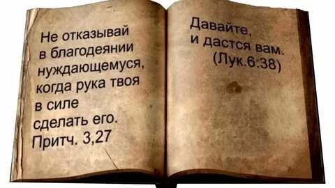 Ним делать и как его