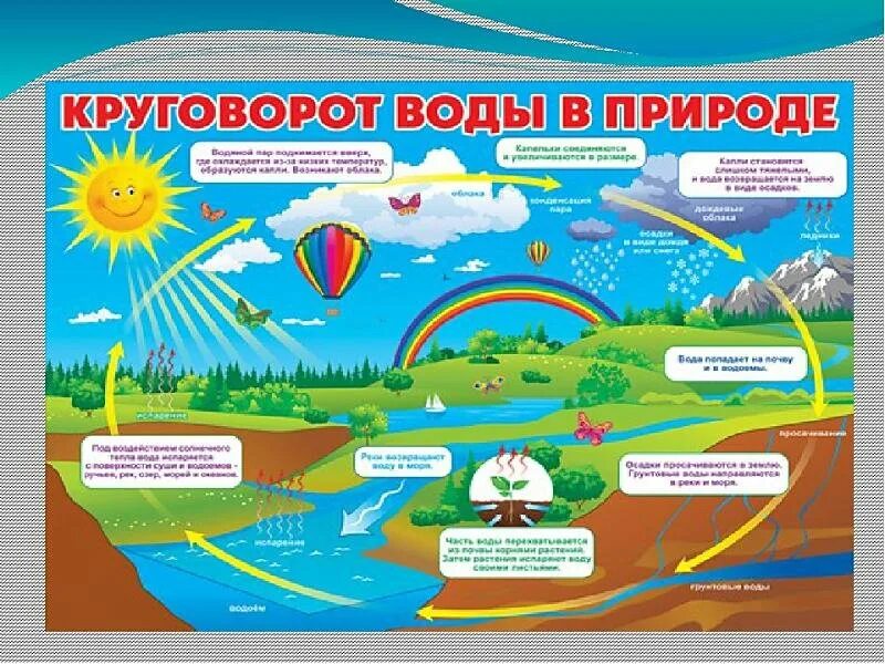 Круговорот детей в природе