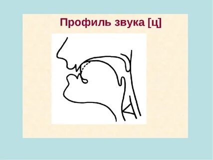 Профиль буквы
