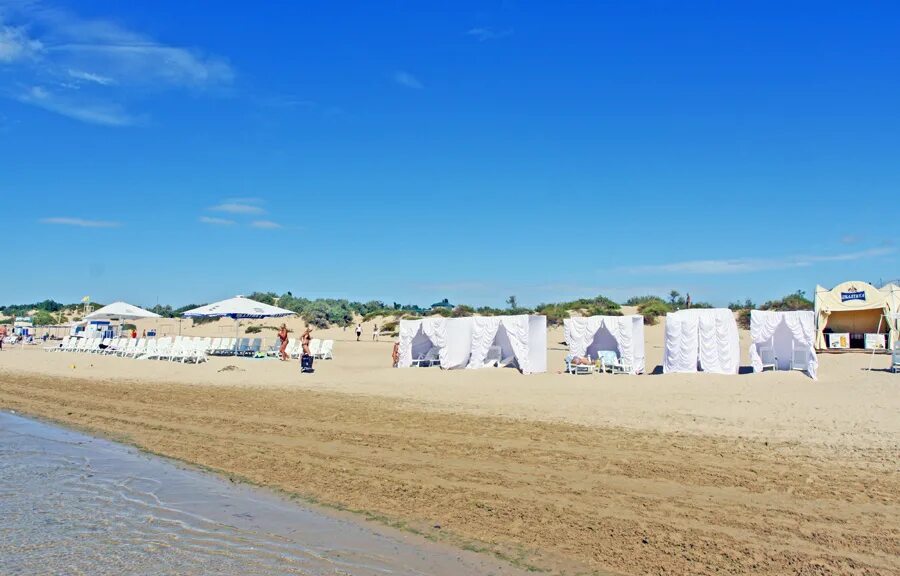 джемете петроградский. джемете петроградский. петроградский форт джемете официальный. петроградский форт джемете. джемете форт джемете петроградский.