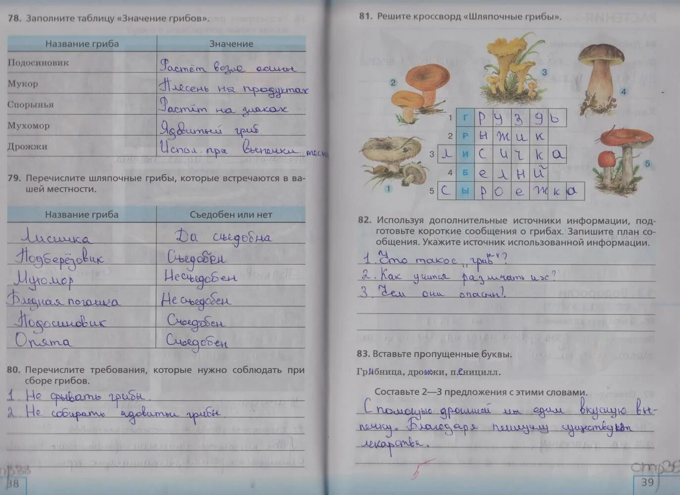 Биология 5 класс стр 21 ответы. Биология 5 класс рабочая тетрадь грибы. Биология 5 класс рабочая тетрадь. Биология 5 класс рабочая тетрадь таблица. 5 Класс рабочая тетрадь страниц. Биология стр 38 39.