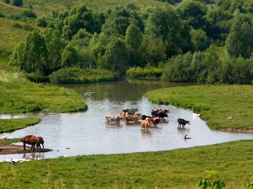 Река села. Река села