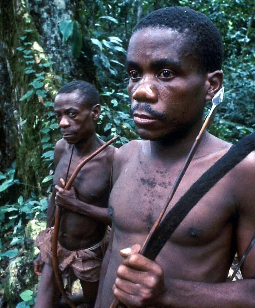 Пигмеи народ Африки. Пигмеи Конго.