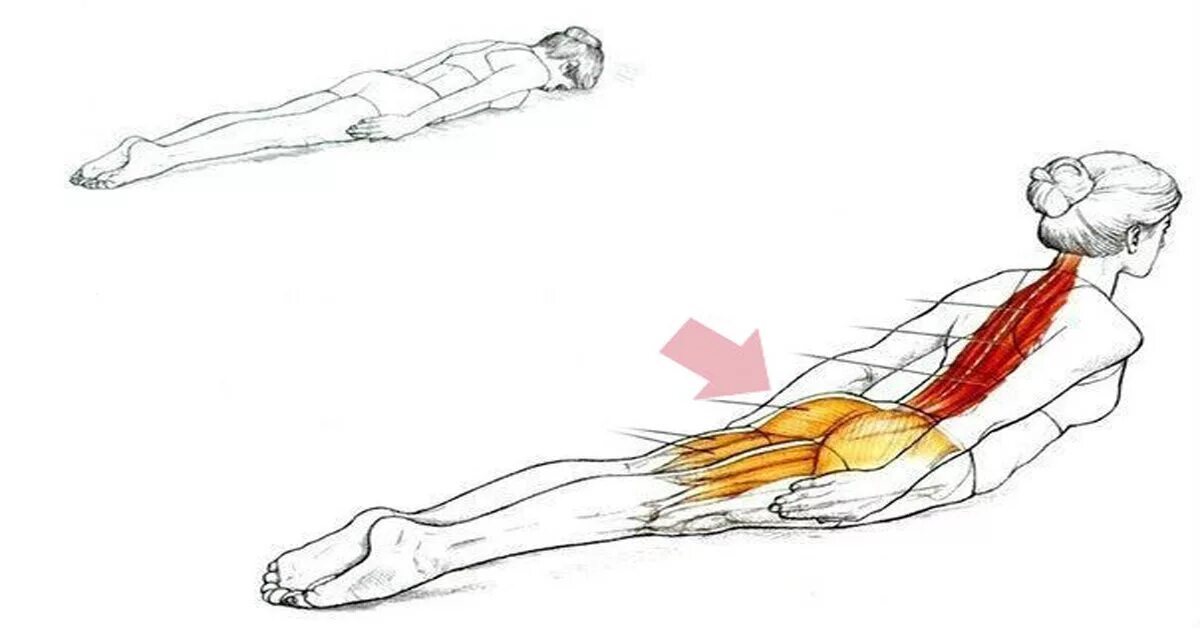 Разгибание поясницы. Разгибание позвоночника лежа на животе упражнения. Мышцы разгибатели позвоночника упражнения. Разгибание позвоночника в положении лежа на животе. Гиперэкстензия упражнение лежа.