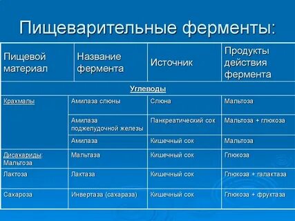 Пищеварительные ферменты что это