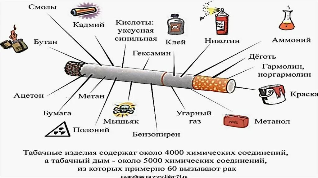 Влияние сигарет на дыхательную систему. Что сожержится в сигарета. Влияние никотина на органы дыхания. Влияние сигарет на легкие. Что можно вместо сигарет