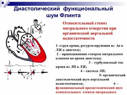 Функциональный шум