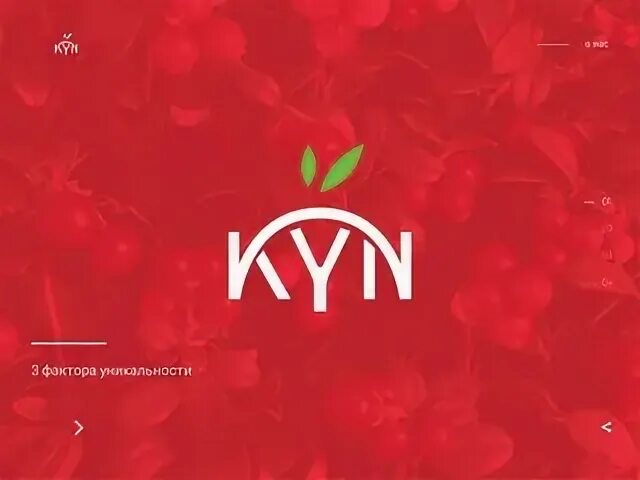 Сайт куну