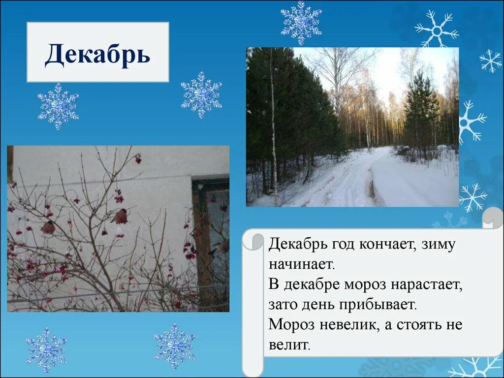 Январь году начало зимы. Декабрь зиму начинает. Декабрь год а зиму начинает.