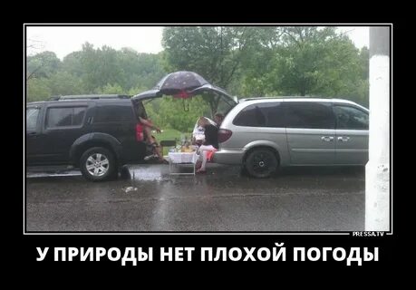 Смешные картинки плохой