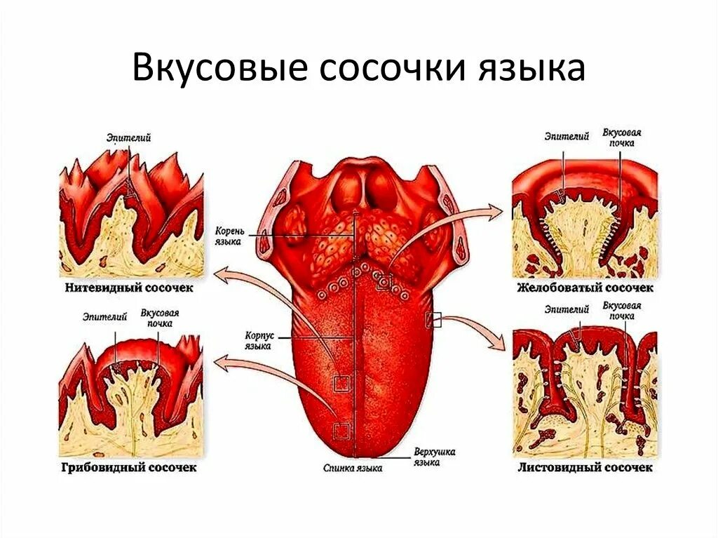 Те из них которые