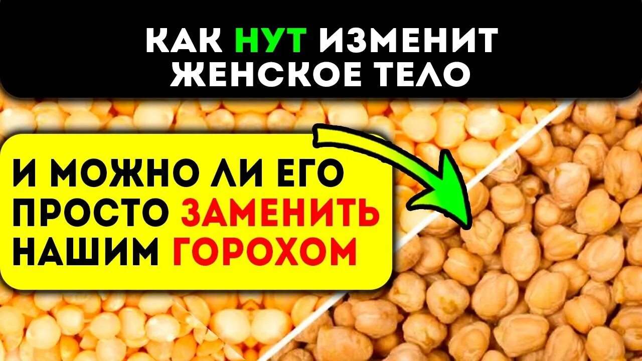 Нут горох отличия. Чем нут отличается от обычного гороха. Чем нут отличается от обычного гороха. Горох нут. Виды гороха нут.