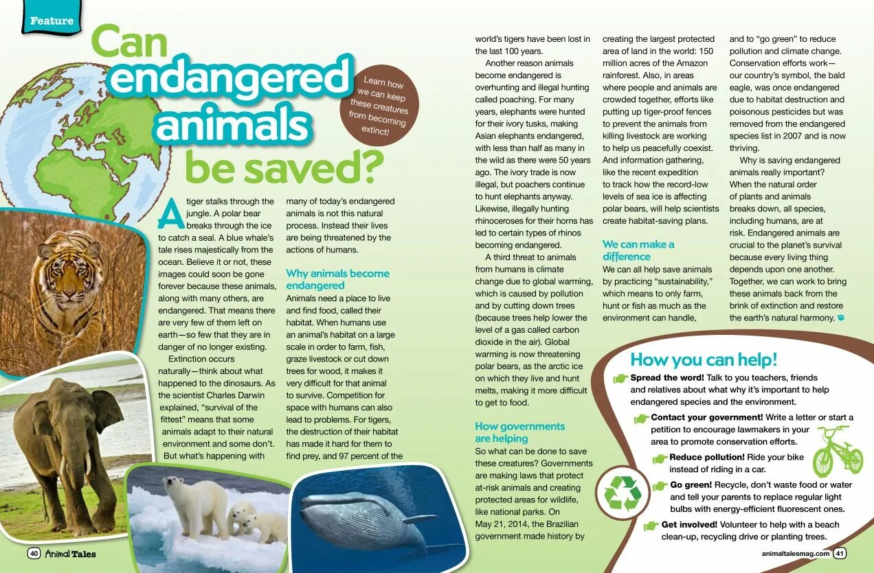 Specific features of animals. Save endangered species. описание картинки endangered species. how protect endangered animals. save the world животные.