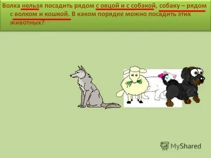 Отольются волку овечьи