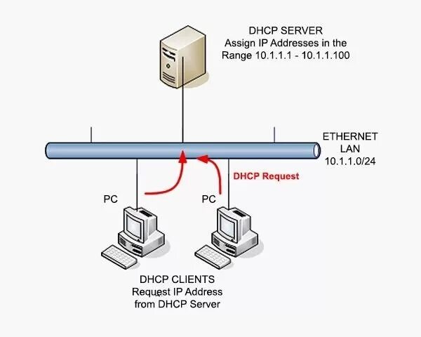 Dhcp nat. Dhcp запросы. dhcp кабель. ip-адрес dhcp-сервера. dhcp при динамическом ip.