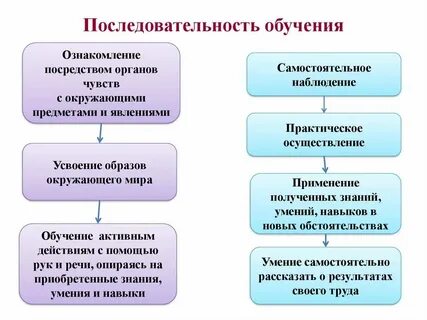 Укажите правильную последовательность обучения